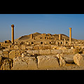 Siria - Palmira, accampamento di Diocleziano