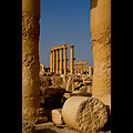 Siria - Palmira, colonnati
