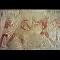 Egitto - Saqqara, Mastaba di Ti