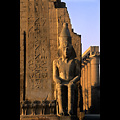 Egitto - Luxor, Tempio di Luxor