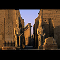 Egitto - Luxor, Tempio di Luxor, statue di Ramses II