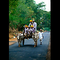 Karnataka, carro sulla strada per Hampi