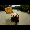 Kerala, battello per il trasporto della fibra di cocco nei Canali