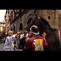 Siena - Palio, benedizione del cavallo nella contrada della Torre